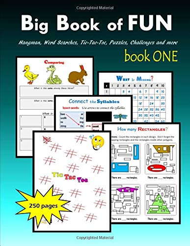 Beispielbild fr Big Book of FUN, book ONE: Hangman, Word Searches, Tic-Tac-Toe, Puzzles, Challenges and more zum Verkauf von Revaluation Books
