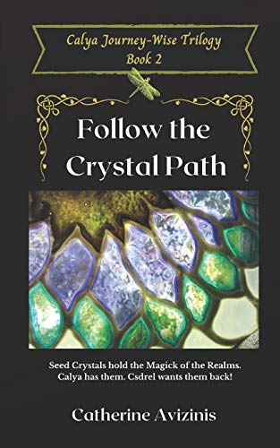 Stock image for Follow the Crystal Path for sale by Revaluation Books