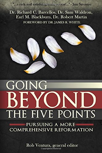 Beispielbild fr Going Beyond the Five Points: Pursuing a More Comprehensive Reformation zum Verkauf von SecondSale