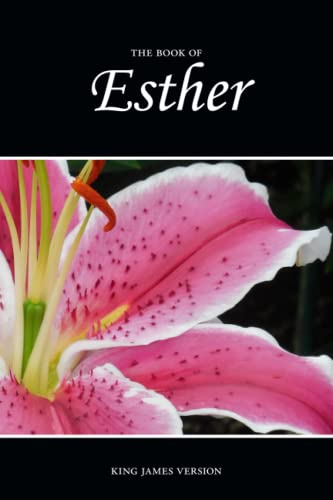 Stock image for Esther (KJV) (Sunlight Bibles Complete Set of Individual Bible Books) for sale by Red's Corner LLC