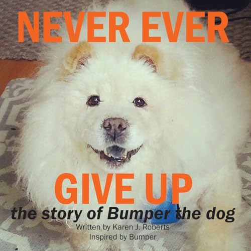Stock image for Never Ever Give up, the Story of Bumper the Dog for sale by Better World Books