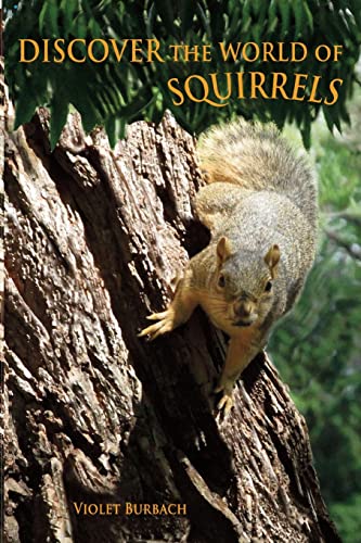 Beispielbild fr Discover the World of Squirrels: Illustrated Kids Book With Fun Facts About Squirrels And Builds Kids Vocabulary zum Verkauf von Wonder Book