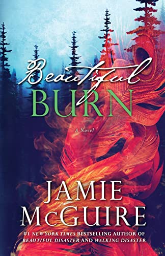 Stock image for Beautiful Burn: A Novel (The Maddox Brothers Book 4) for sale by KuleliBooks