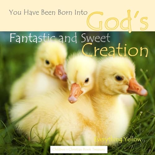 9781512326420: Everything Yellow: God's Fantastic and Sweet Creation: Children's Christian Book Treasury