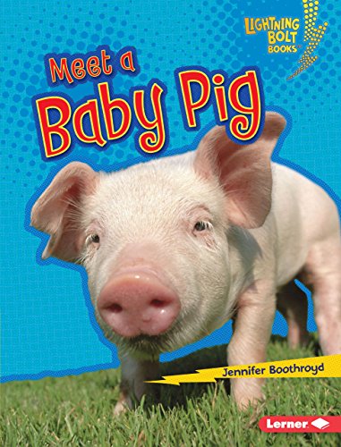 Beispielbild fr Meet a Baby Pig zum Verkauf von Better World Books