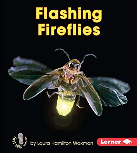9781512408829: Flashing Fireflies (First Step Nonfiction: Backyard Critters)