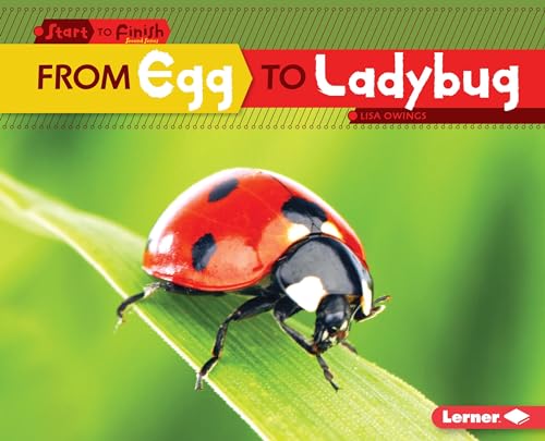 Beispielbild fr From Egg to Ladybug zum Verkauf von Better World Books