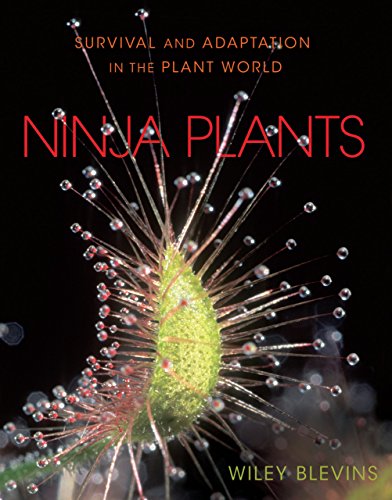 Beispielbild fr Ninja Plants : Survival and Adaptation in the Plant World zum Verkauf von Better World Books