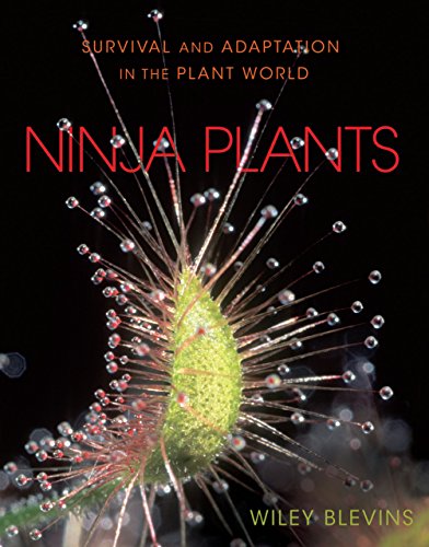 Stock image for Ninja Plants : Survival and Adaptation in the Plant World for sale by Better World Books