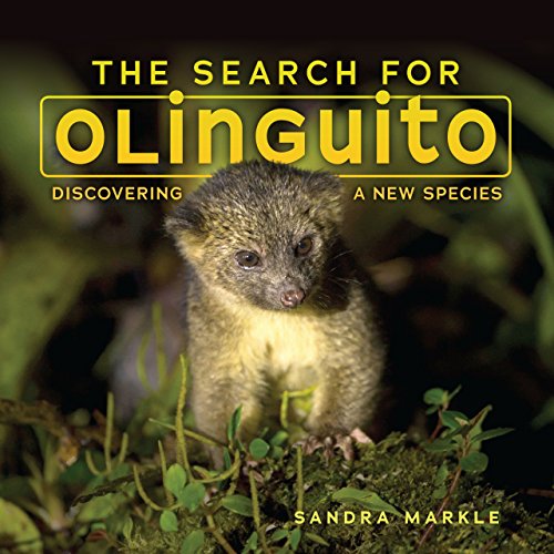 Beispielbild fr The Search for Olinguito: Discovering a New Species (Sandra Markle's Science Discoveries) zum Verkauf von Your Online Bookstore