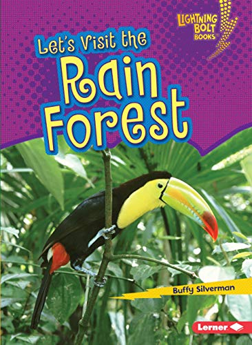 Stock image for Let's Visit the Rain Forest for sale by Better World Books