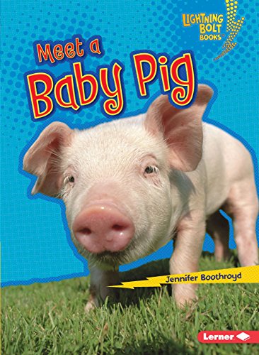 9781512412390: Meet a Baby Pig (Lightning Bolt Books: Baby Farm Animals)