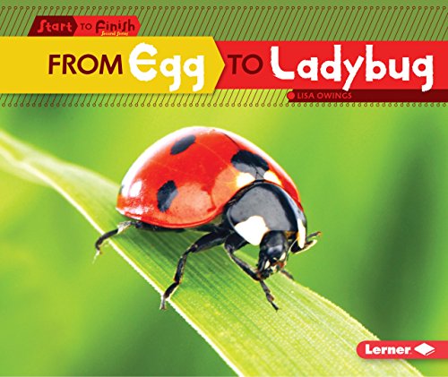 Imagen de archivo de From Egg to Ladybug (Start to Finish, Second Series) a la venta por Half Price Books Inc.