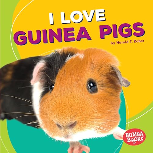 Stock image for I Love Guinea Pigs Format: Library for sale by INDOO