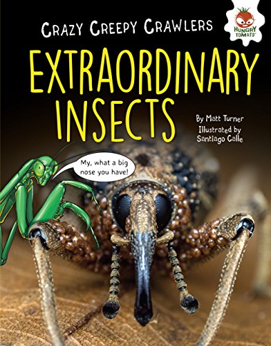 9781512415568: Extraordinary Insects (Crazy Creepy Crawlers)