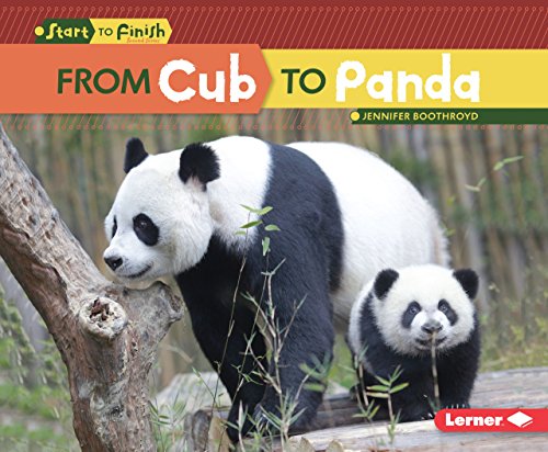 9781512418286: From Cub to Panda (Start to Finish: Second Series)