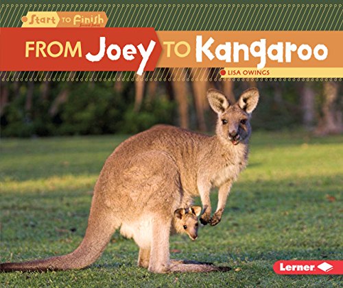 Imagen de archivo de From Joey to Kangaroo a la venta por ThriftBooks-Atlanta