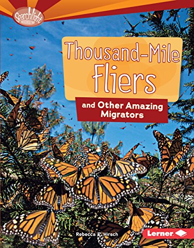 Stock image for Thousand-Mile Fliers and Other Amazing Migrators (Searchlight Books T ? Animal Superpowers) for sale by More Than Words