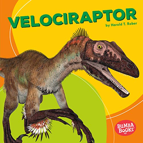 9781512426410: Velociraptor (Bumba Books: Dinosaurs and Prehistoric Beasts)
