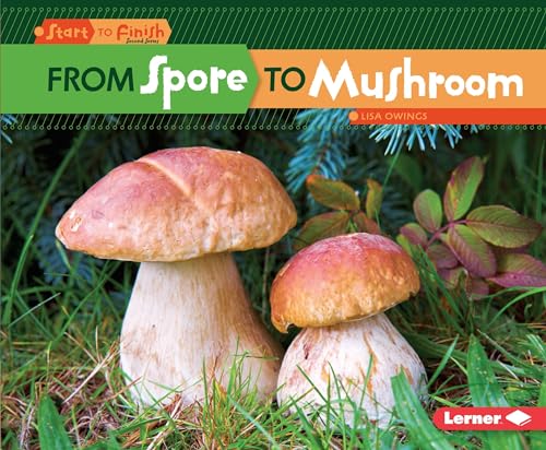 Beispielbild fr From Spore to Mushroom zum Verkauf von Better World Books