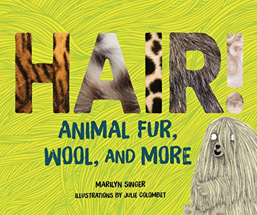 Beispielbild fr Hair!: Animal Fur, Wool, and More zum Verkauf von ThriftBooks-Dallas