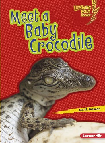 Beispielbild fr Meet a Baby Crocodile zum Verkauf von Blackwell's