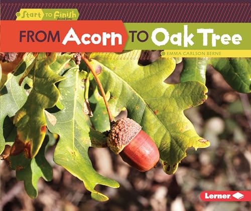 Beispielbild fr From Acorn to Oak Tree (Start to Finish, Second Series) zum Verkauf von Wonder Book