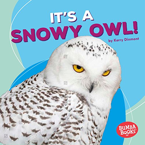 9781512482799: It's a Snowy Owl! (Polar Animals: Bumba Books)