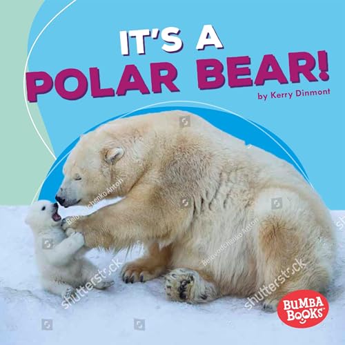 9781512482812: It's a Polar Bear! (Polar Animals: Bumba Books)