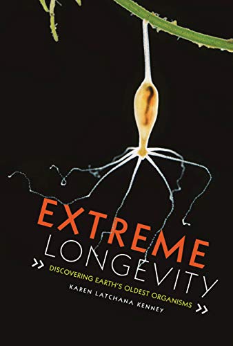 Imagen de archivo de Extreme Longevity: Discovering Earth's Oldest Organisms a la venta por ThriftBooks-Atlanta