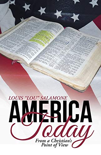 Stock image for America Today: From a Christian's Point of View for sale by Chiron Media