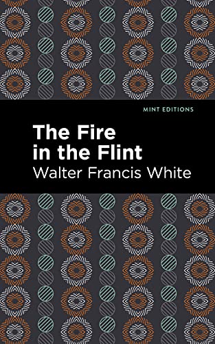 Beispielbild fr The Fire in the Flint (Mint Editions (Black Narratives)) zum Verkauf von Big River Books