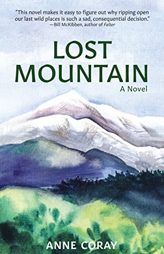 Stock image for Lost Mountain: A Novel for sale by St Vincent de Paul of Lane County