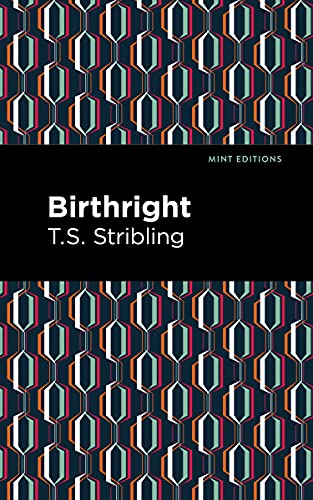 Stock image for Birthright (Mint Editions (Literary Fiction)) for sale by Lakeside Books