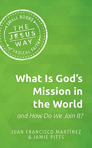 Beispielbild fr What Is God's Mission in the World and How Do We Join It? zum Verkauf von Better World Books