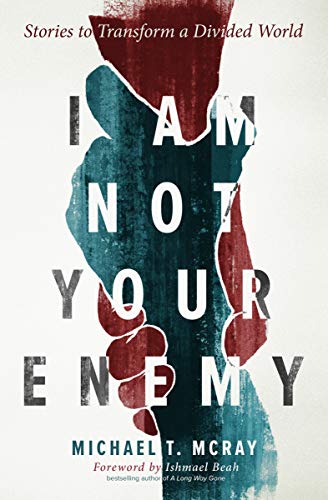 Beispielbild fr I Am Not Your Enemy: Stories to Transform a Divided World zum Verkauf von BooksRun