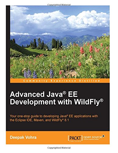9781514210956: Advanced Java EE Development with WildFly