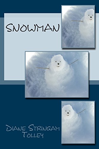 Stock image for SnowMan for sale by THE SAINT BOOKSTORE