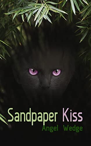 9781514262535: Sandpaper Kiss