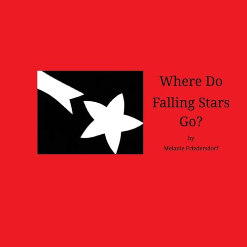 Stock image for Where Do Falling Stars Go? for sale by THE SAINT BOOKSTORE