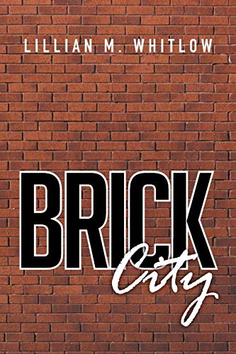 Imagen de archivo de Brick City a la venta por Lucky's Textbooks