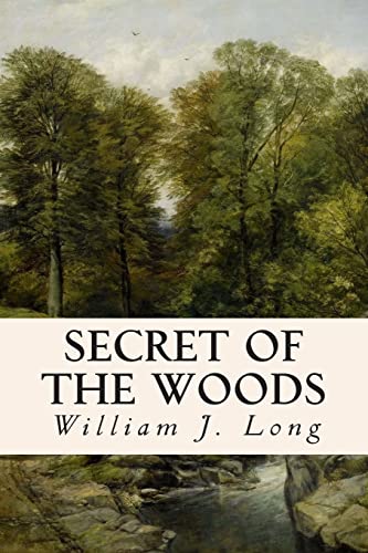 9781514651599: Secret of the Woods