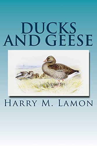 9781514848074: Ducks and Geese