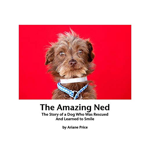 Stock image for The Amazing Ned for sale by Hawking Books