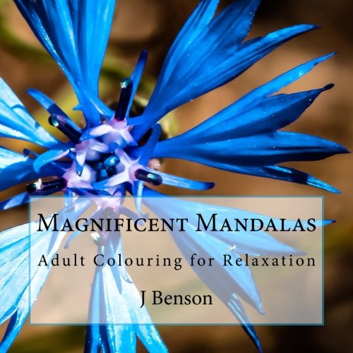 9781515145547: Magnificent Mandalas: Adult Colouring for Relaxation: Volume 1