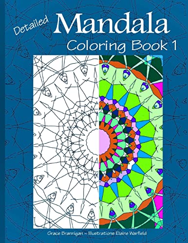 Beispielbild fr Detailed Mandala Adult Coloring Book zum Verkauf von Revaluation Books