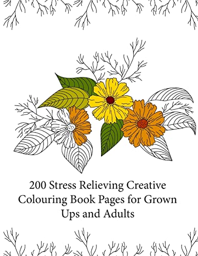 Beispielbild fr 200 Stress Relieving Creative Colouring Book Pages for grown ups and adults zum Verkauf von THE SAINT BOOKSTORE