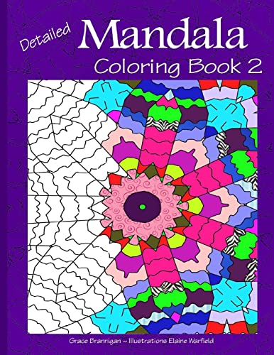 Beispielbild fr Detailed Mandala Adult Coloring Book zum Verkauf von Revaluation Books