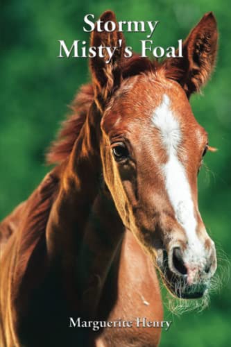 Stock image for Stormy, Misty's Foal for sale by GF Books, Inc.