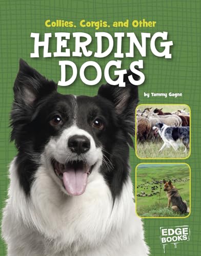 9781515703013: Collies, Corgies, and Other Herding Dogs